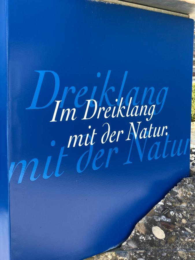 Vitallgaeu-Neues Studio Mit Koenigscard Pfronten Eksteriør billede
